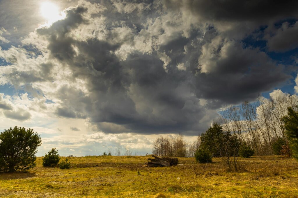 Melhor Época para Visitar Orlando: Guia Completo