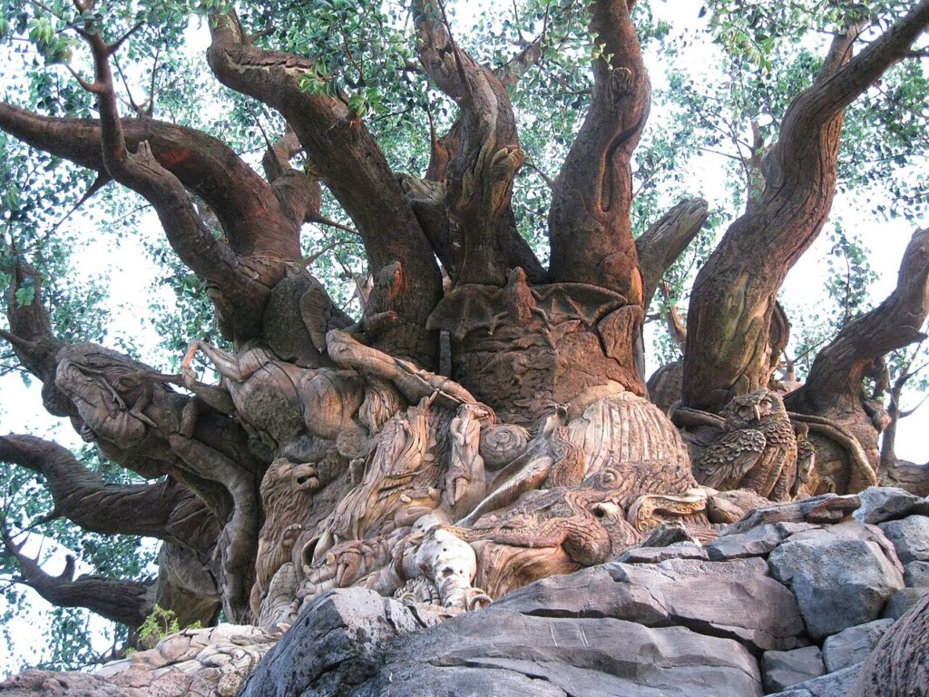 Animal Kingdom Disney: Guia Completo do Parque 2026